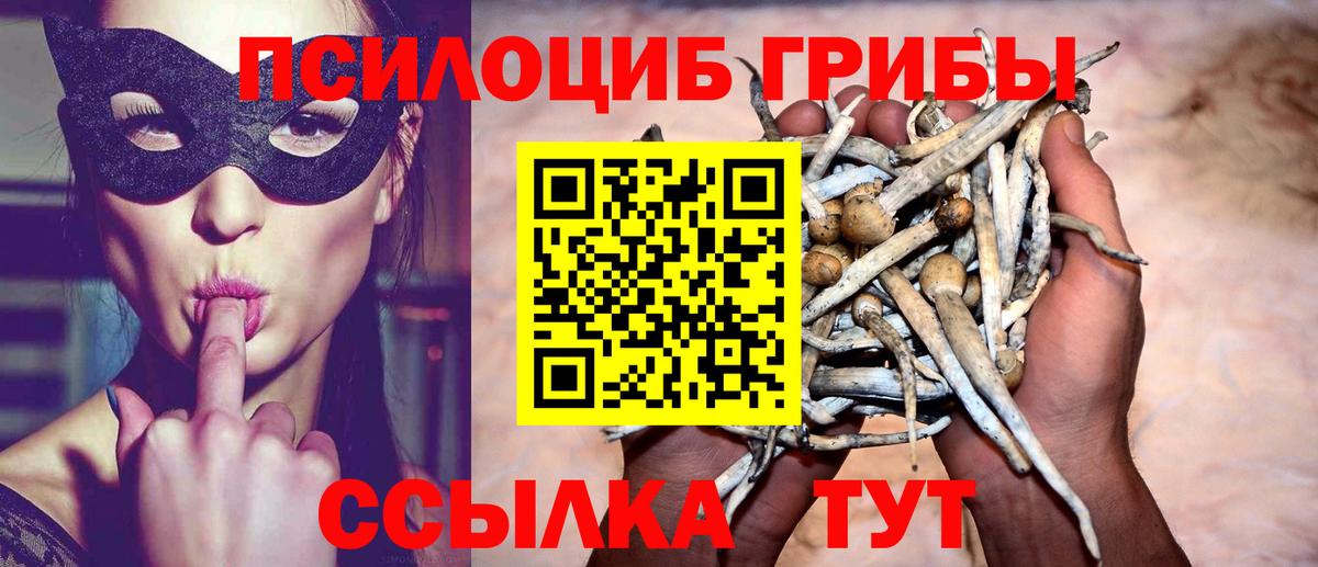 Заволжье  Галлюциногенные грибы Psilocybe  Псилоцибиновые грибы мухоморы  Вход с VPN 